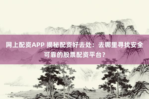 网上配资APP 揭秘配资好去处：去哪里寻找安全可靠的股票配资平台？