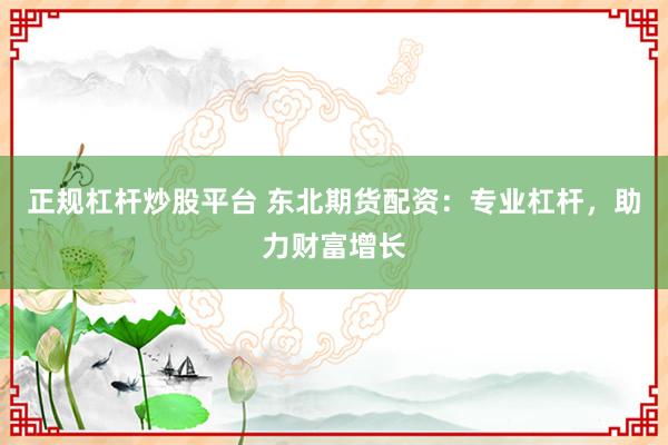 正规杠杆炒股平台 东北期货配资：专业杠杆，助力财富增长