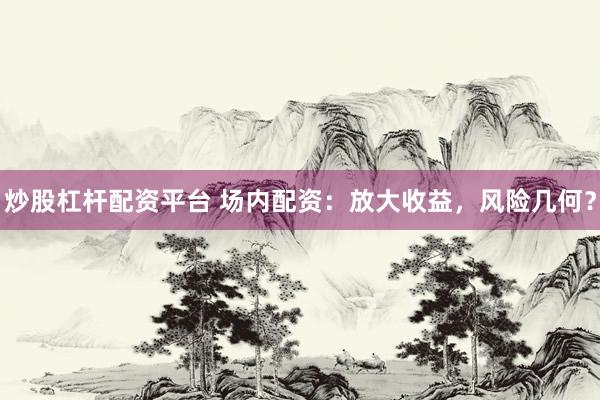炒股杠杆配资平台 场内配资：放大收益，风险几何？