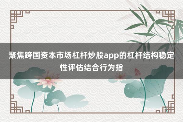 聚焦跨国资本市场杠杆炒股app的杠杆结构稳定性评估结合行为指